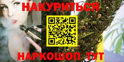 дмт Кингисепп