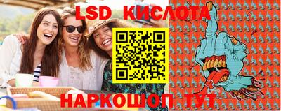 дмт Кингисепп