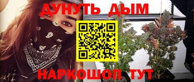 прущие крисы Кимры