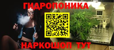 дмт Кингисепп