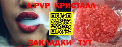 дмт Кингисепп