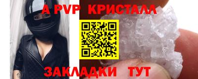 дмт Кингисепп