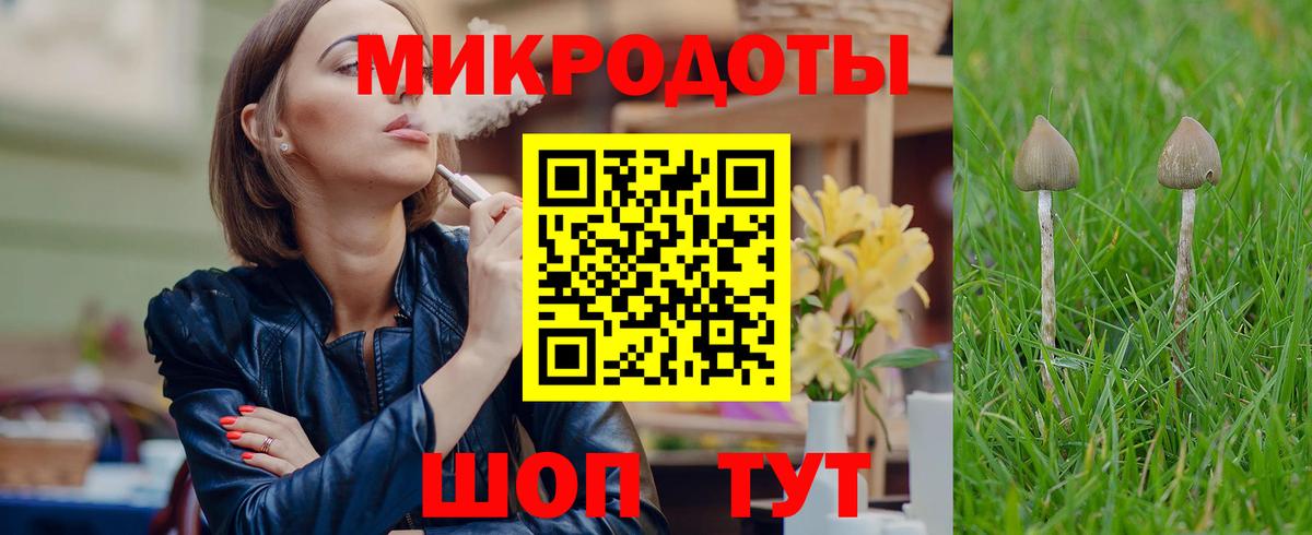 Псилоцибиновые грибы MAGIC MUSHROOMS  Вход с VPN  Геленджик  Галлюциногенные грибы мицелий 